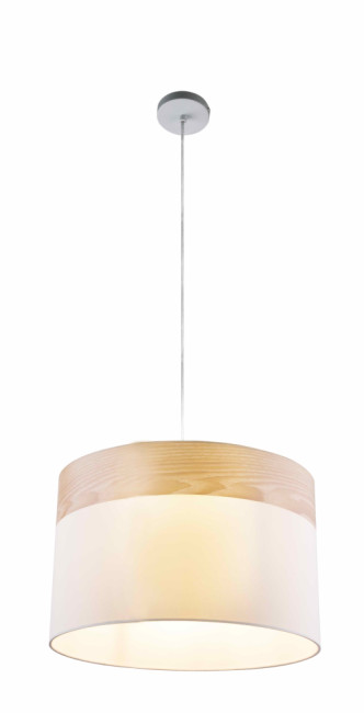 Подвесной светильник Toplight Mabel TL1121-1H