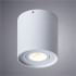 Потолочный светильник Arte Lamp Falcon A5645PL-1WH Потолочный светильник Arte Lamp Falcon A5645PL-1WH